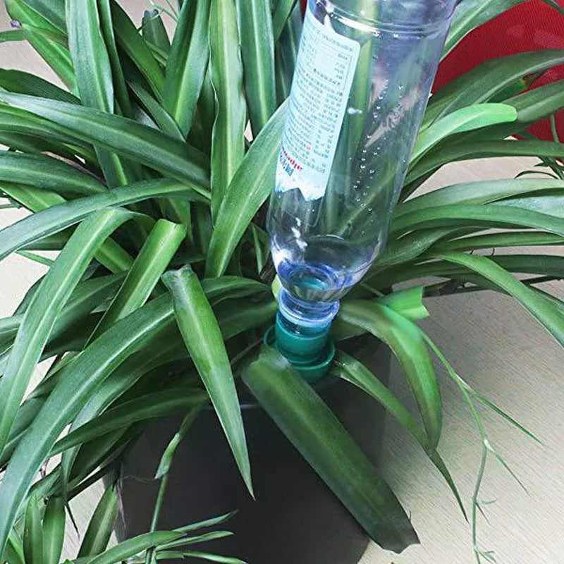 Green ceramic automatic plant watering dripper for 2L plastic cola bottles
