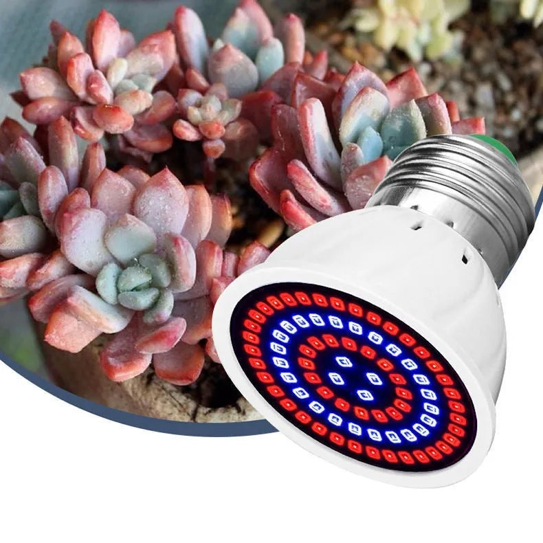 White 9W LED plant growth fill light with 80 beads for indoor potted plants.