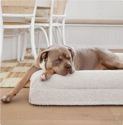 Rectangular pet sofa bed in cloth for dogs, shown as a thickened mattress pet mat with sizes S to XL