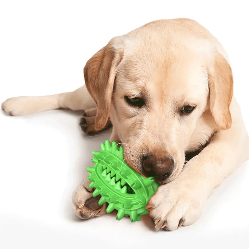 Green cactus-shaped dog chew toy with textured bumps for dental cleaning, showing central treat channel
