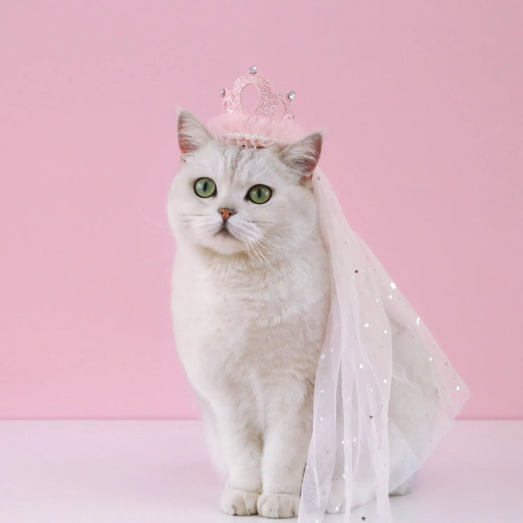Pet wedding princess crown headdress with adjustable tie in cotton-polyester blend