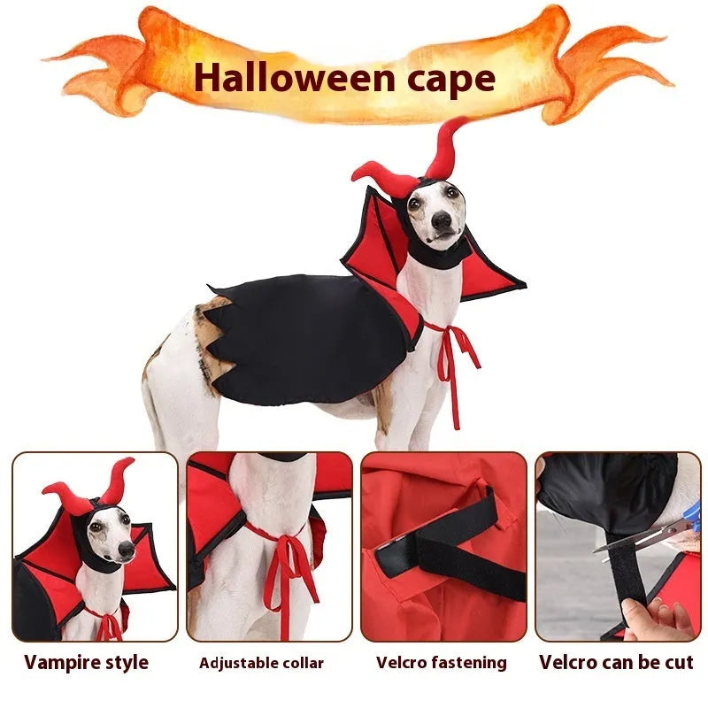 Black vampire cloak and hat pet costume for Halloween on small dog