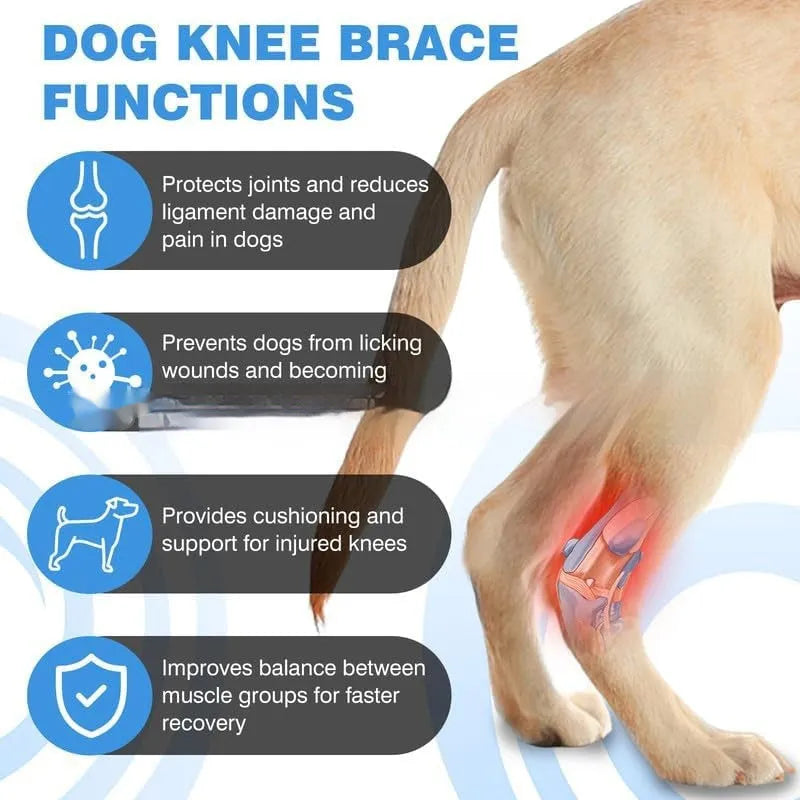 Black polyester pet leg guard for ACL rehabilitation and joint protection