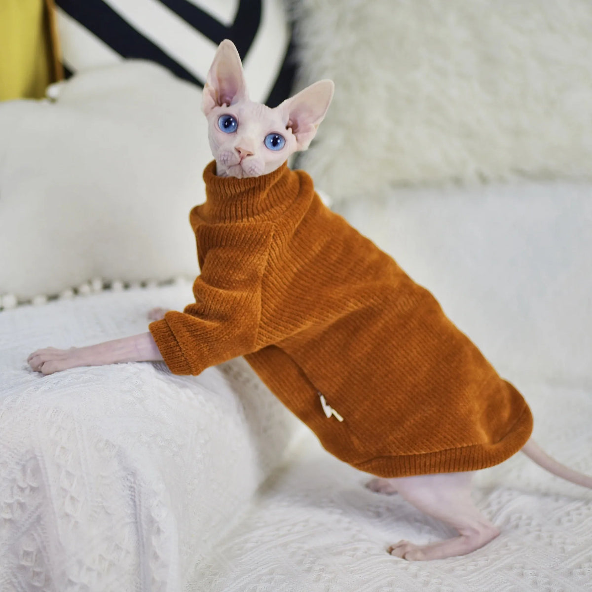 Caramel brown chenille hairless cat jumper, thickened for winter, unisex, sizes XS to XXL.
