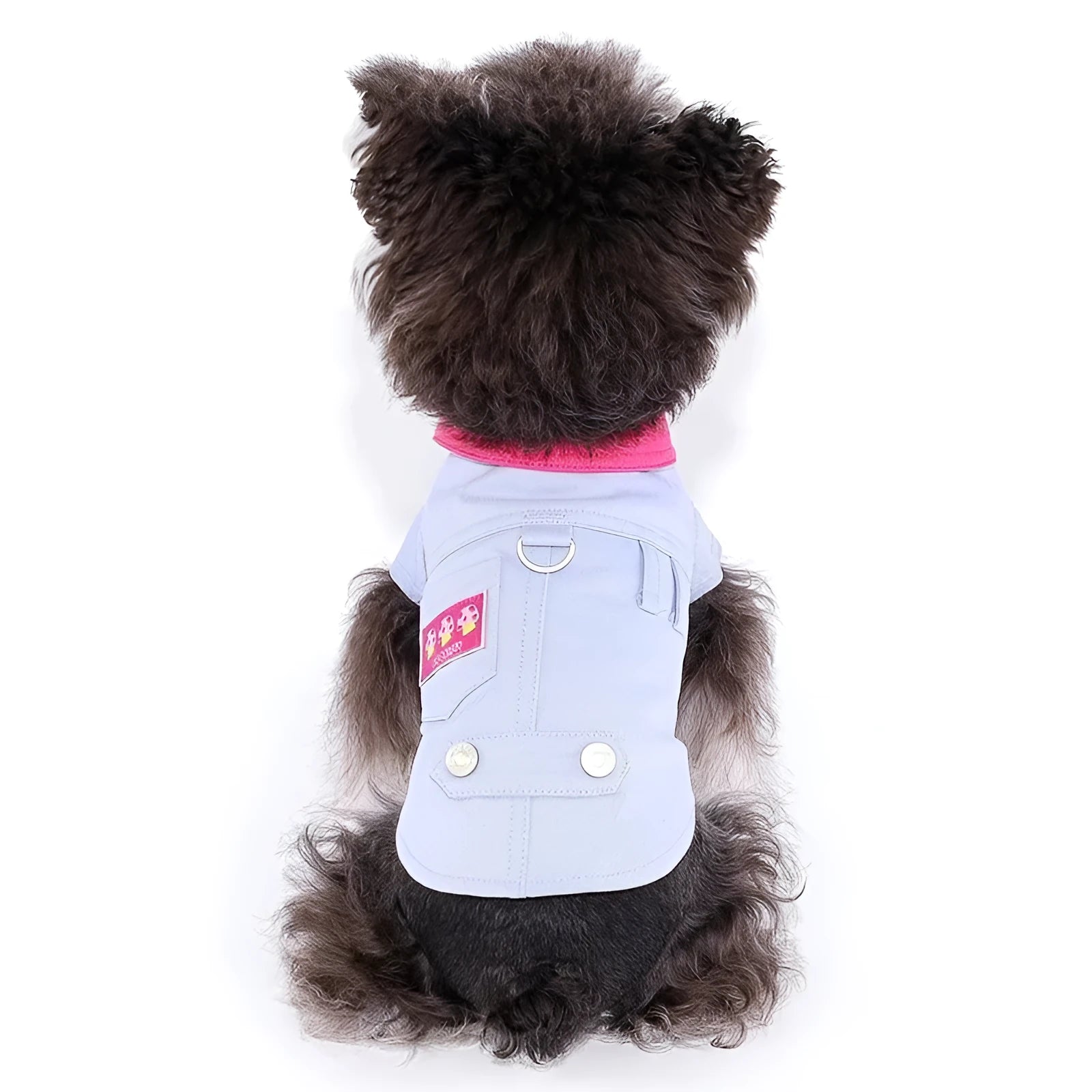 Blue and purple polyester dog vest with front chest rope ring for small dogs