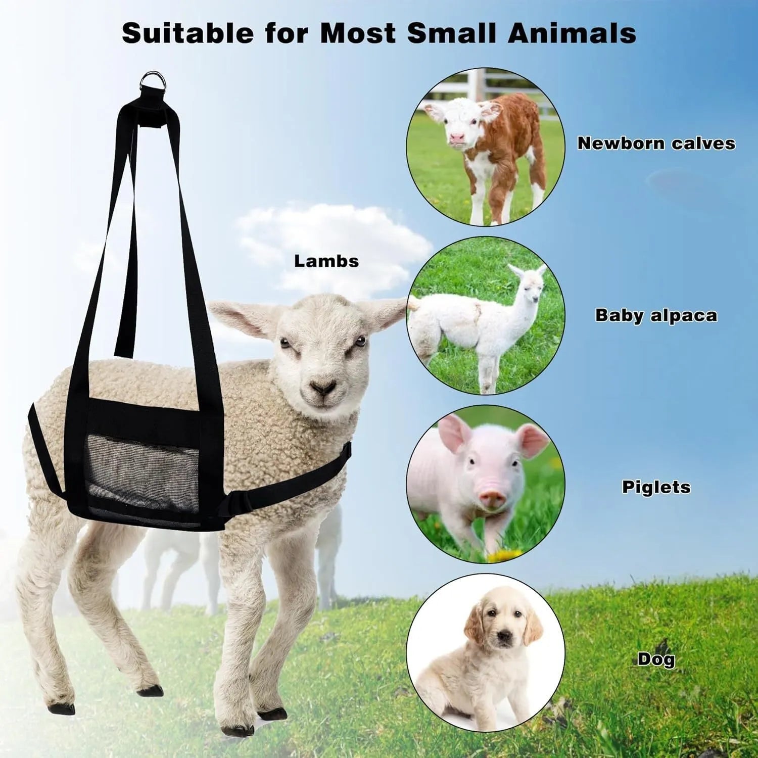 Black heavy-duty nylon animal weighing sling with metal D-rings, laid flat to show 35cm by 150cm dimensions