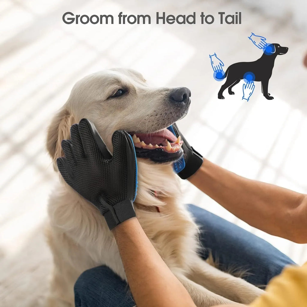 Blue pet grooming gloves with silicone tips for removing hair from dogs and cats during grooming