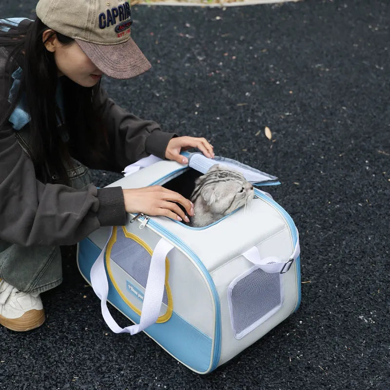 Blue foldable oxford cloth cat carrier backpack shown in outdoor setting