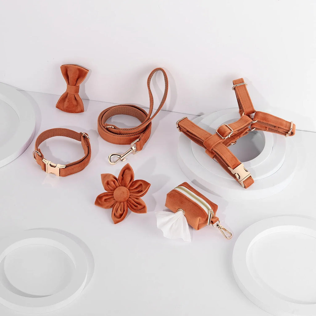 Classic velvet soft pet collar and traction rope set with chest strap, bow tie, flower and toilet bag accessories