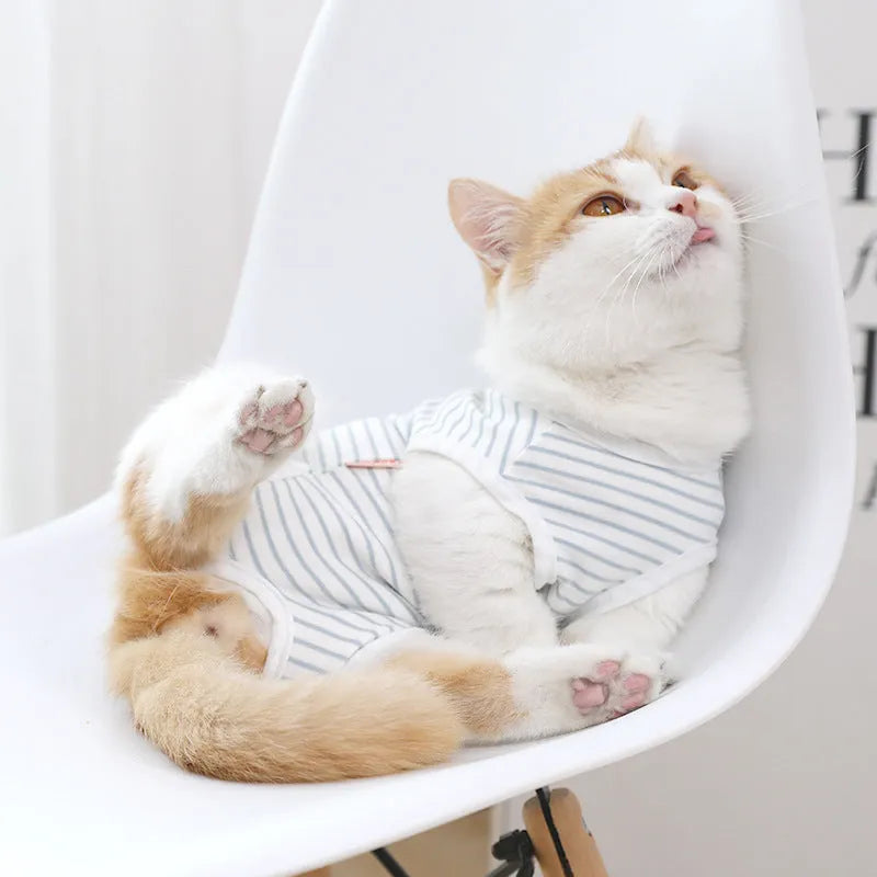 Blue and white cotton pet care suit with S M L XL sizes and bust neck back length measurements