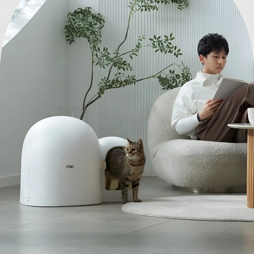 Fully enclosed oversized cat litter box in ABS plastic with dimensions 67.7×49×50cm
