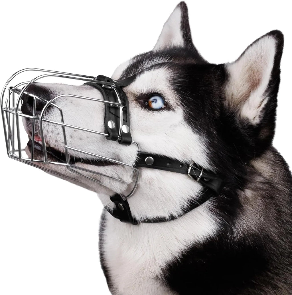 Black metal basket muzzle designed for a Golden Retriever or German Shepherd dog.