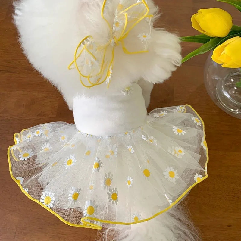 Yellow daisy patterned polyester dog clothes for summer wear in multiple sizes