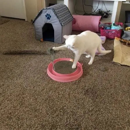 Circular blue cat scratcher with ball track and replaceable cardboard centre for indoor play