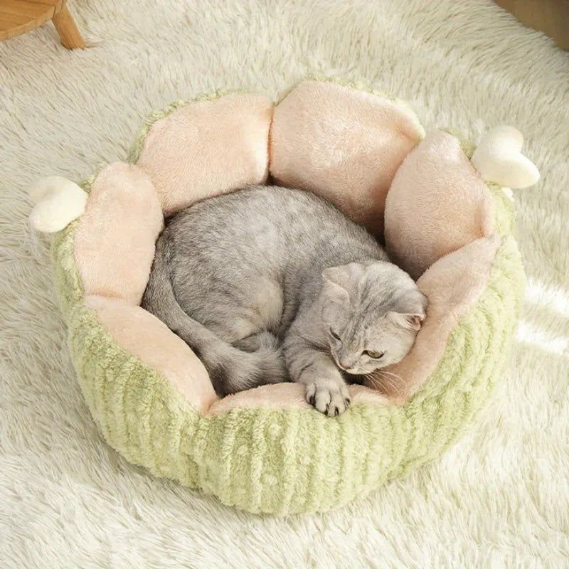 Green cactus design soft pet kennel showing large 60x35cm size for cat litter containment