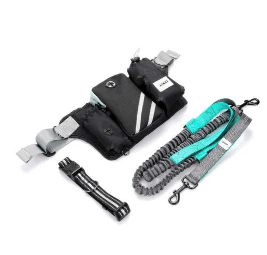 Black waterproof nylon dog walking waist bag set with matching leash and collar for outdoor training