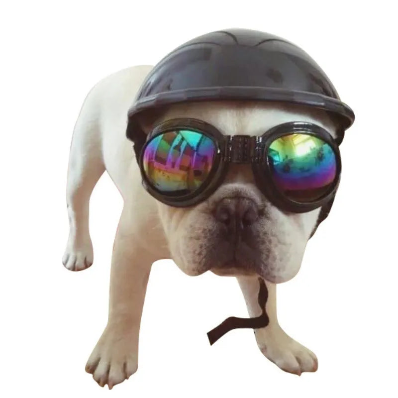 Plastic motorcycle cap helmet for dogs in solid colour with three size options