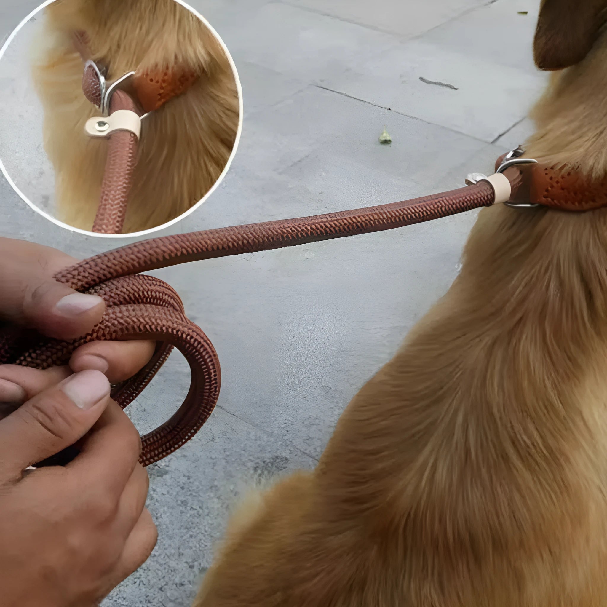 Brown nylon dog leash with P chain hand grip measuring 2.1 metres long