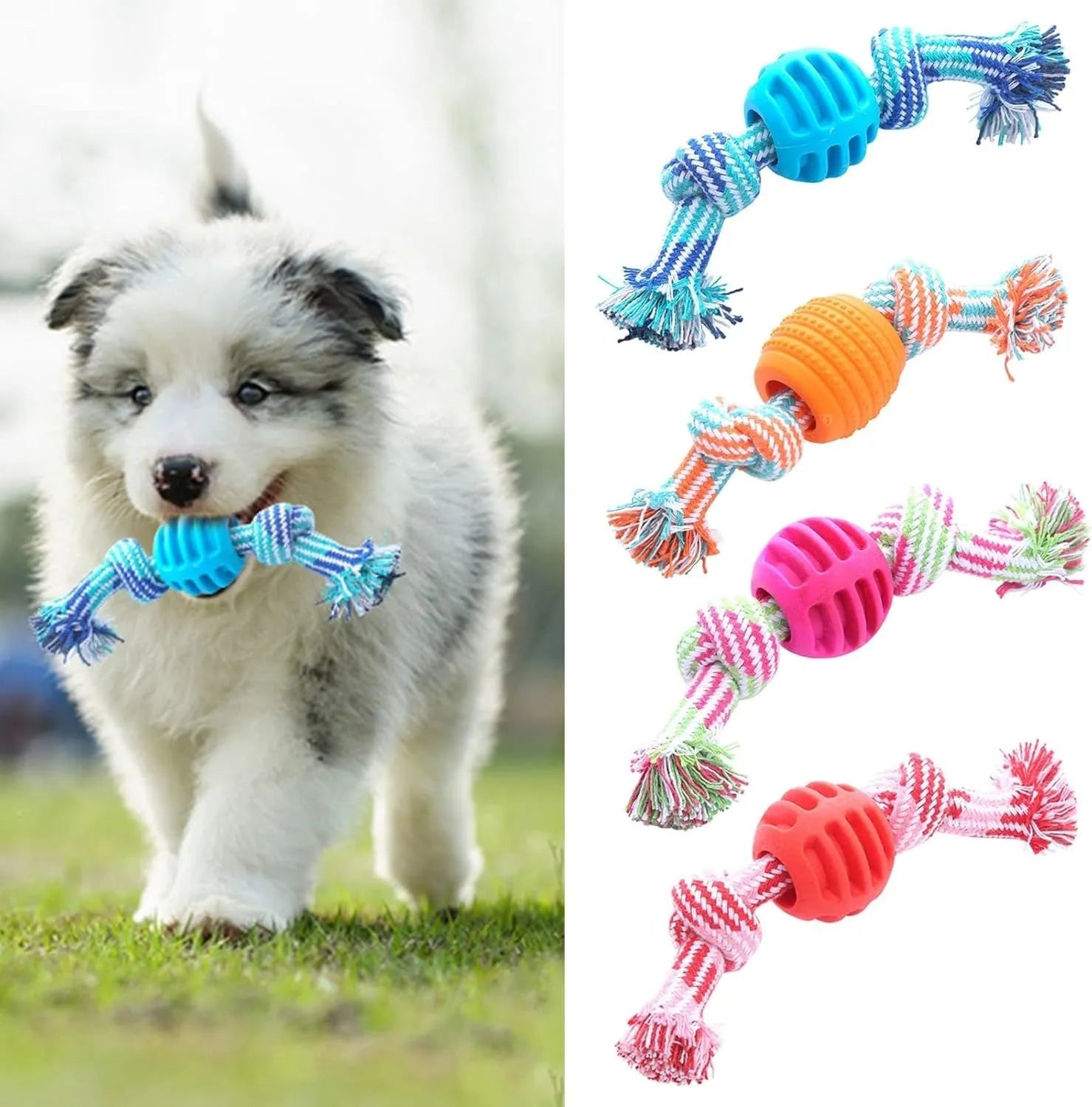Blue molar-shaped dog chew toy with natural rubber rope attachment for dental cleaning