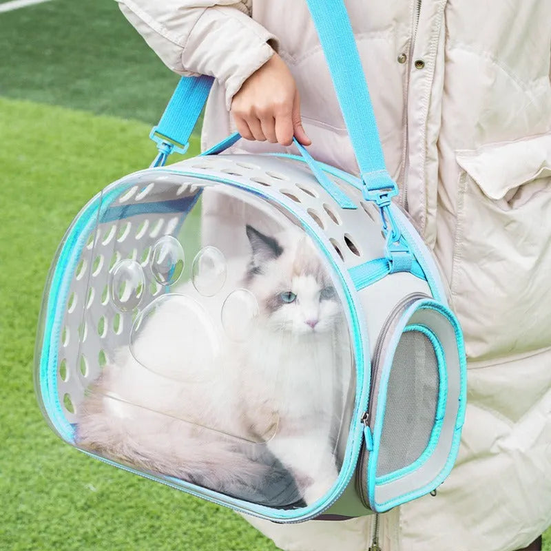 Transparent hard-sided EVA cat carrier backpack in large size for cats up to 9kg