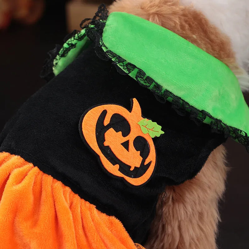 Halloween pumpkin skirt pet costume on a small dog next to a Halloween sweater style variant.