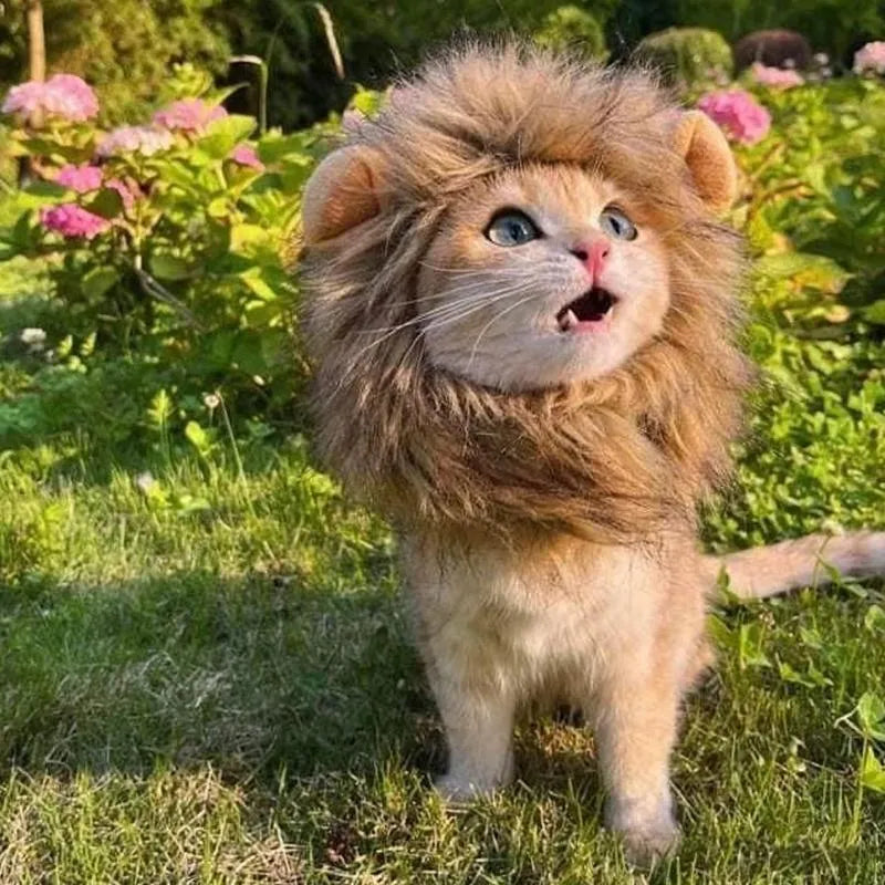 Lion mane wig for cats and small dogs with artificial hair and adjustable elastic band