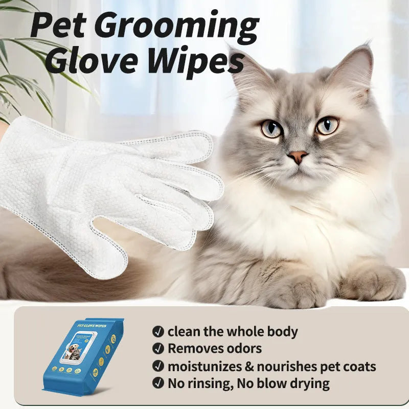 Pack of 20 disposable gloves for cleaning cats and dogs without water