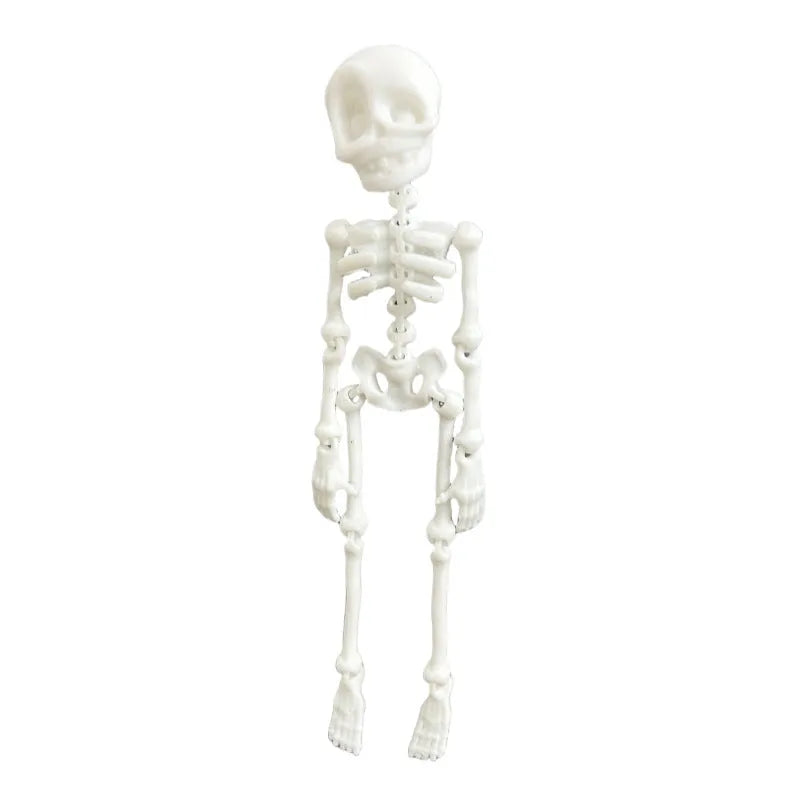 3D printed skull refrigerator magnet in modern art style measuring 18cm high