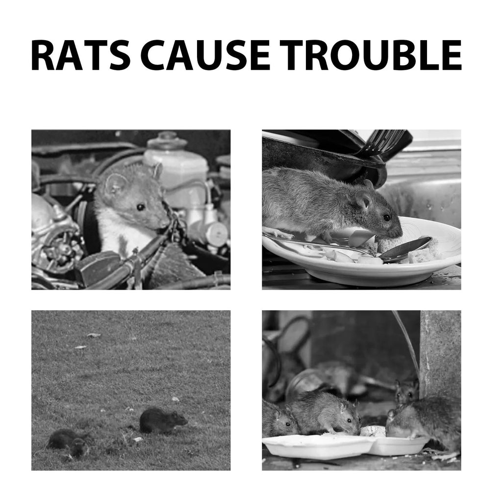 60ml bottle of rat repellent spray with essential oils for home, car and outdoor use.