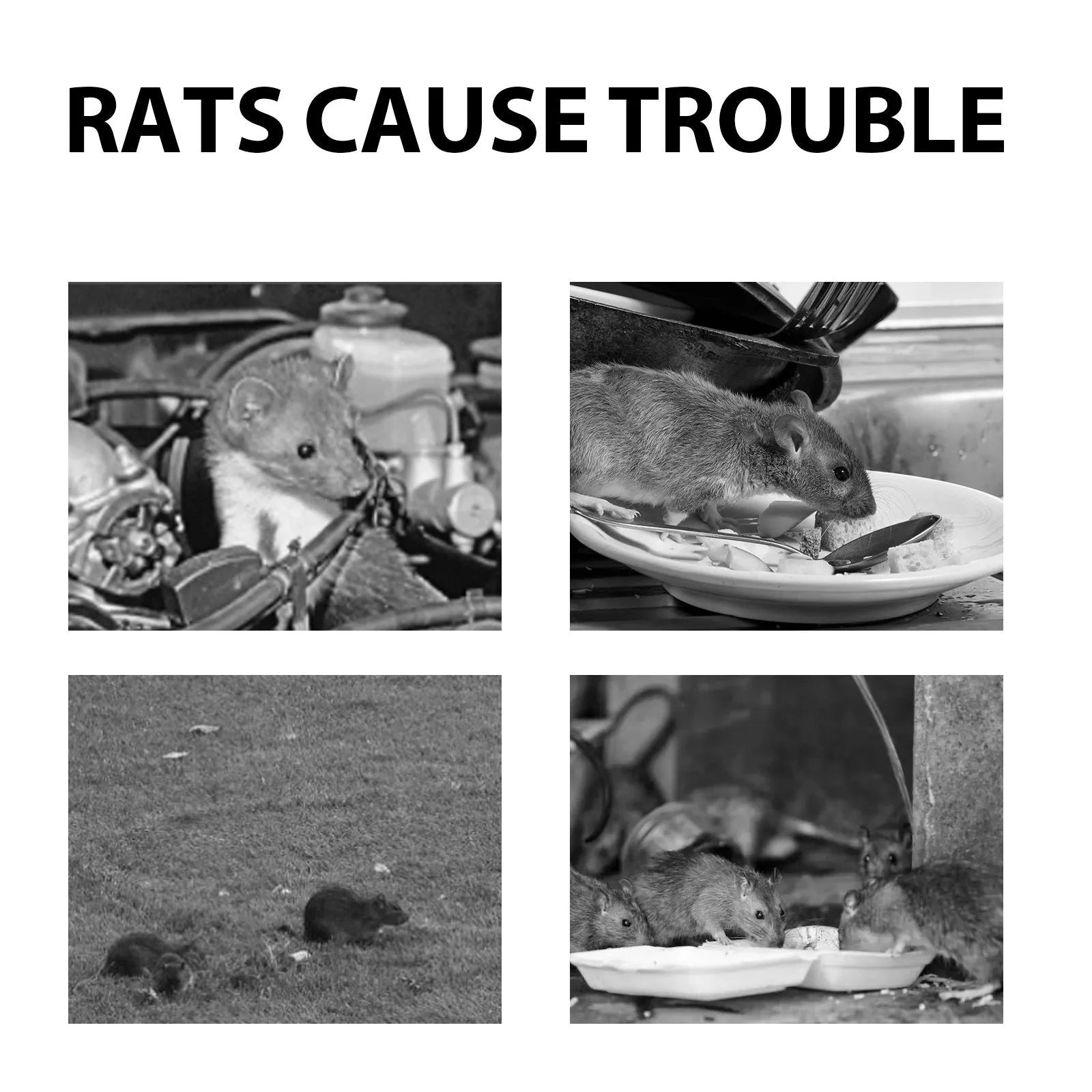 60ml bottle of rat repellent spray with essential oils for home, car and outdoor use.