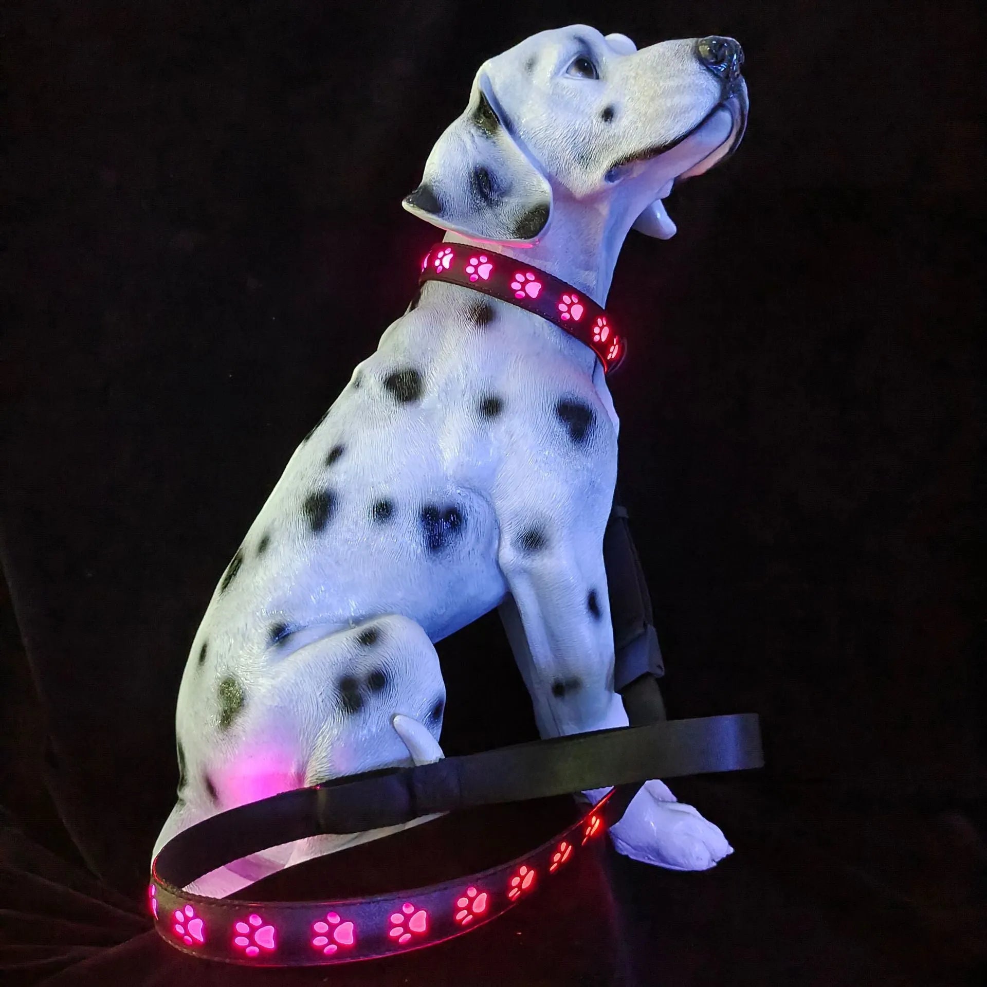 Paw print design LED luminous collar for cats on a black background, showing USB charging port.