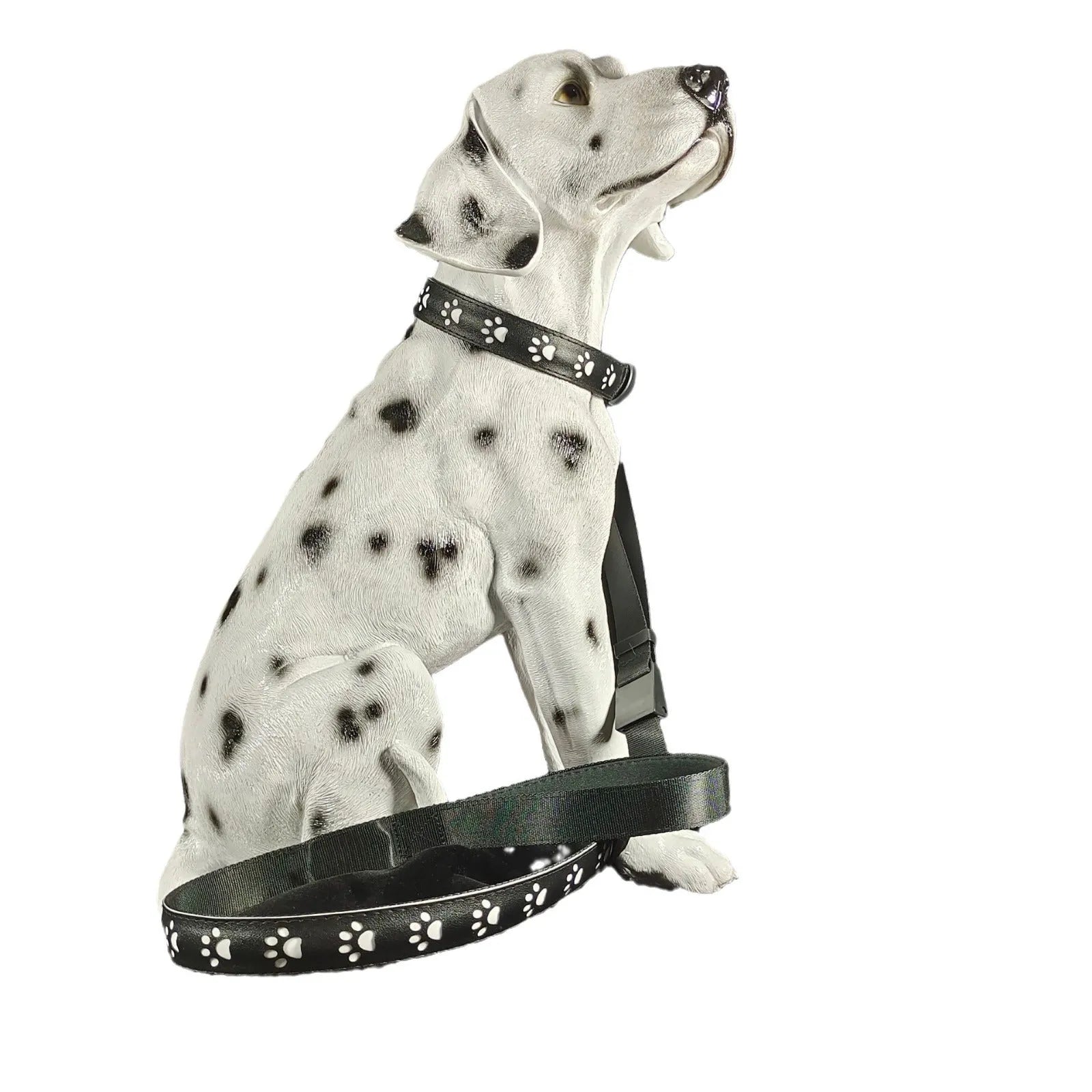 Paw print design LED luminous collar for cats on a black background, showing USB charging port.