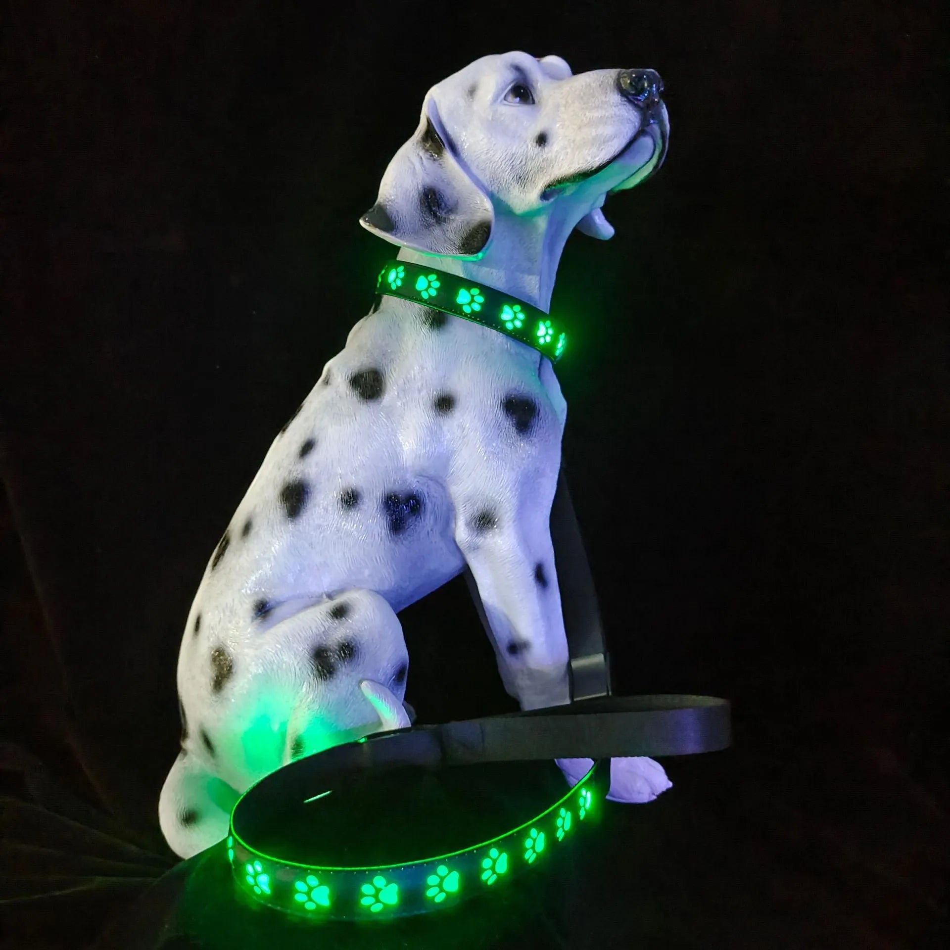 Paw print design LED luminous collar for cats on a black background, showing USB charging port.