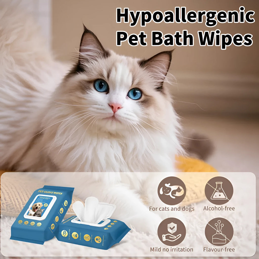 Pack of 20 disposable gloves for cleaning cats and dogs without water