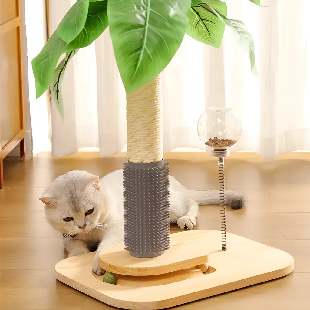 Wooden cat scratching post with canna colour column and textured scratching surface
