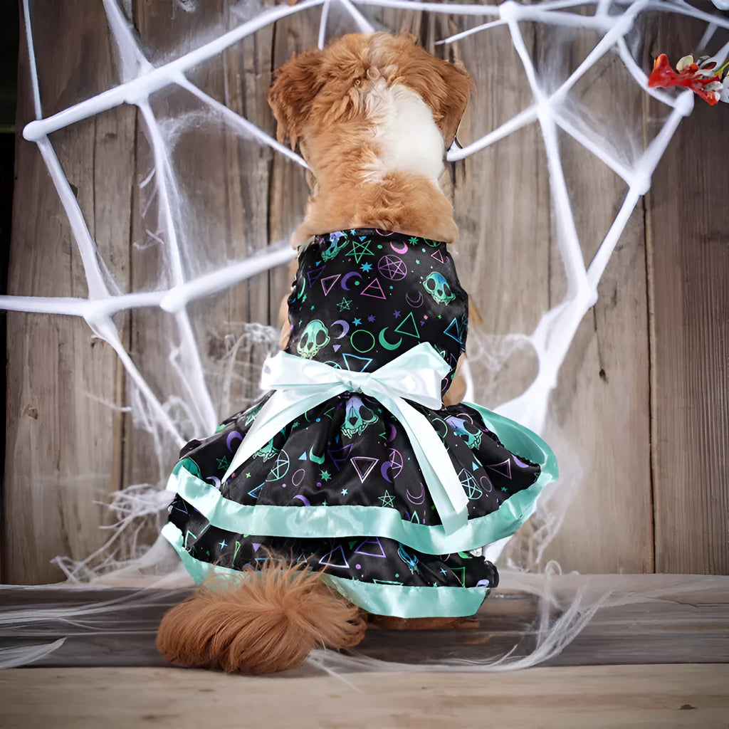 Halloween dog skirt in colourful pumpkin design on small dog
