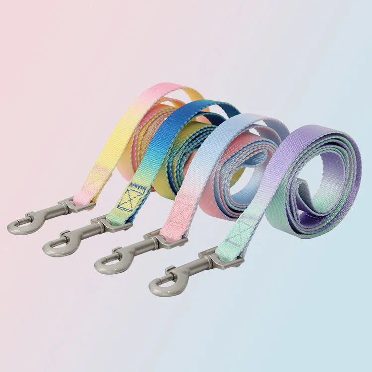 Nylon dog leash and collar set showing gradient colour pattern in pink and blue