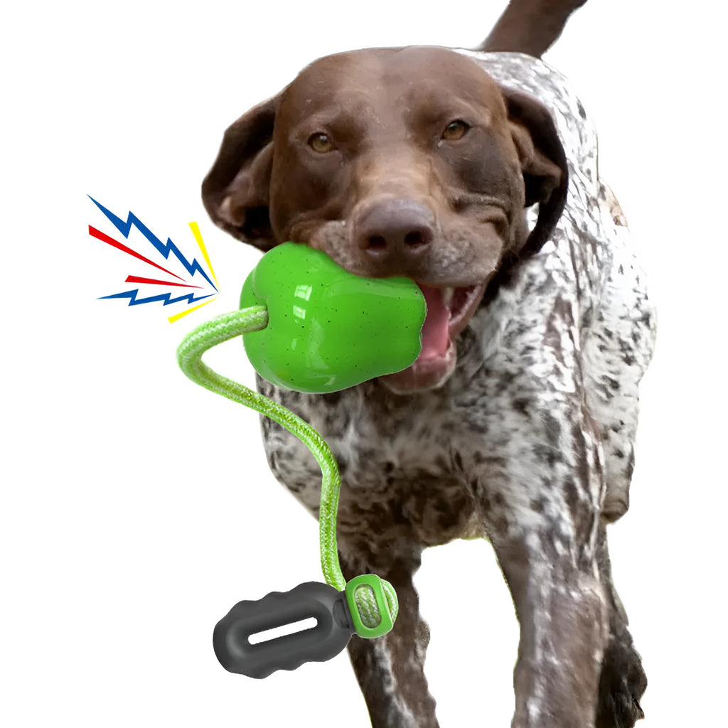 Green plastic dog toy shaped like a molar with hollow treat-dispensing centre