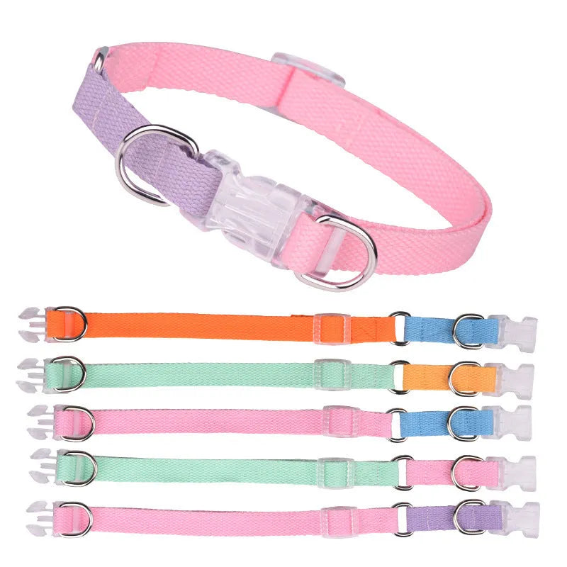 Set of pink and blue polyester ribbon dog collar, matching chest harness, and hand-held rope lead.