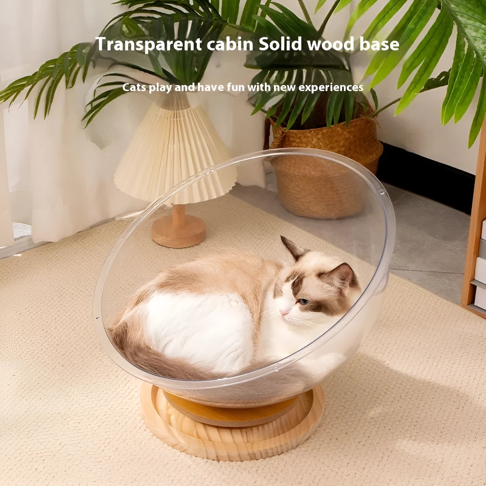 Transparent acrylic space capsule cat bed on turntable base with cat inside