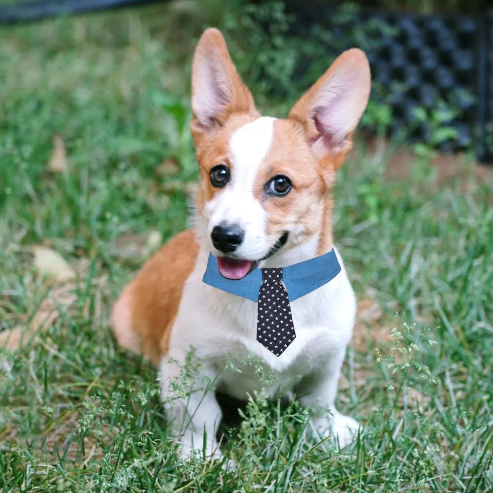 Adjustable denim dog collar with star pattern, shown as a bow tie style on a dog.