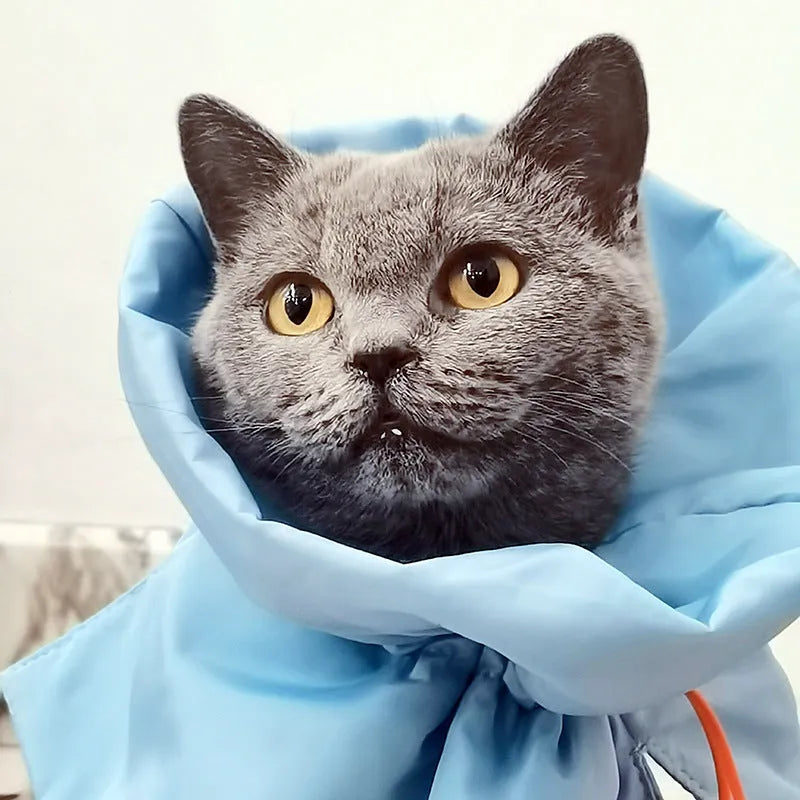 Soft light blue adjustable recovery collar for a cat on a grey background.
