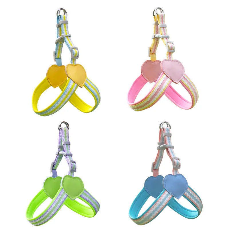Nylon dog walking harness with chest strap and rope leash in multiple colour options