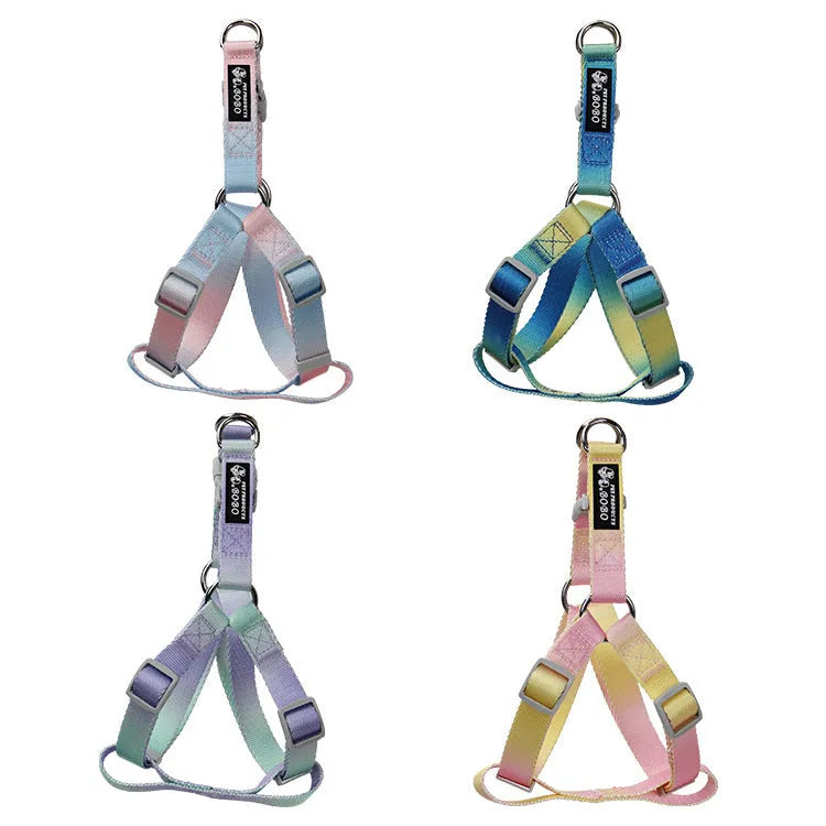 Nylon dog leash and collar set showing gradient colour pattern in pink and blue