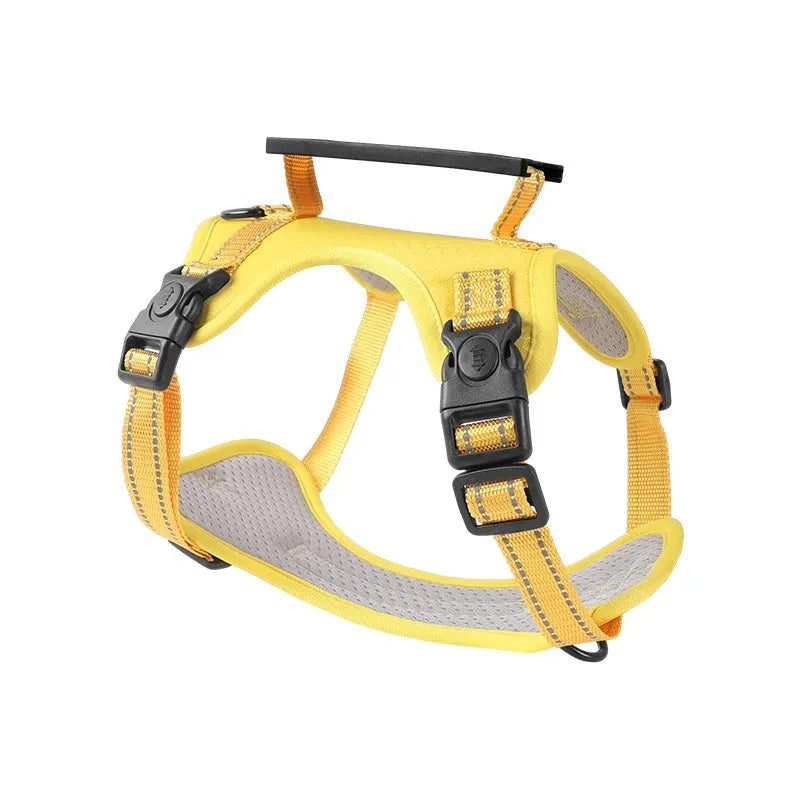 Adjustable dog harness and lead set in various colours with chest strap design