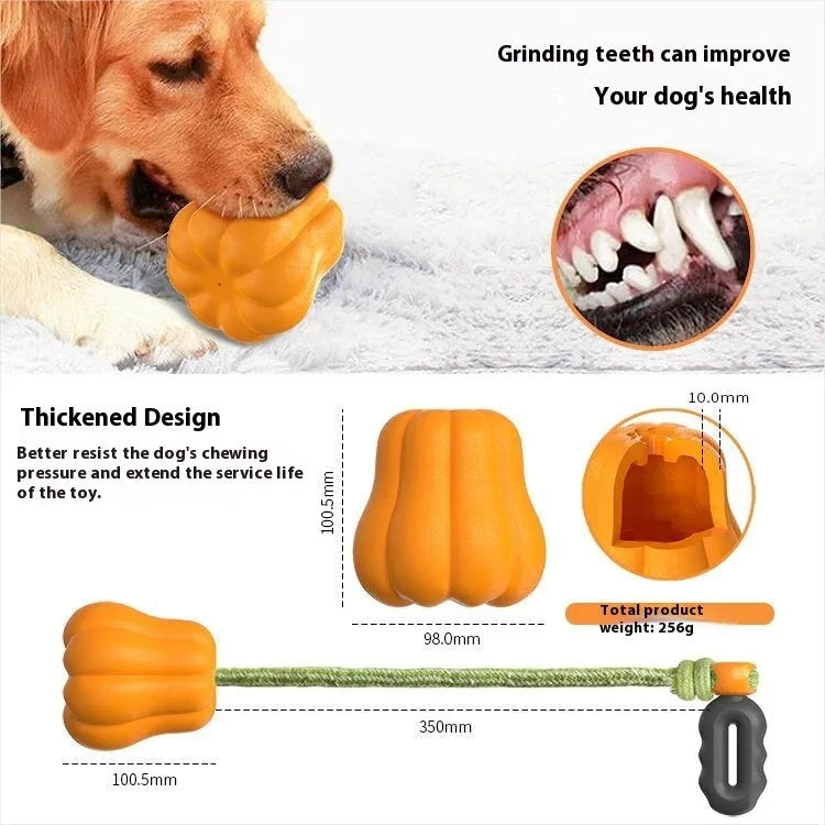 Orange pumpkin-shaped plastic dog chew toy with rope attachment for tug-of-war and fetch games