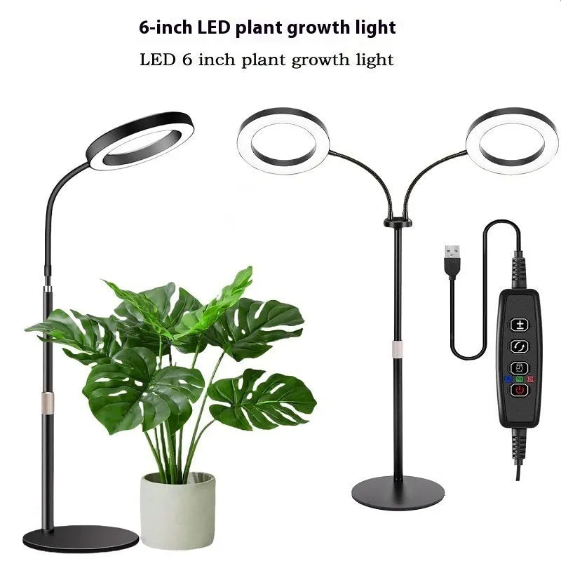 A tall, silver 6-inch ring floor light on a retractable stand next to indoor houseplants.