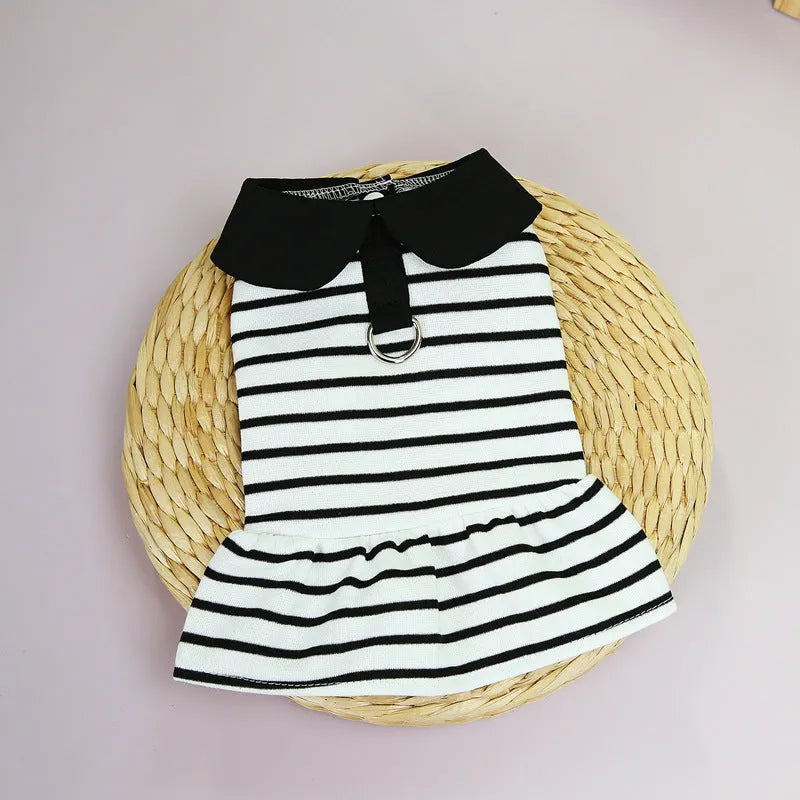 Pet dog wearing cotton summer stripe T-shirt and matching skirt clothing set
