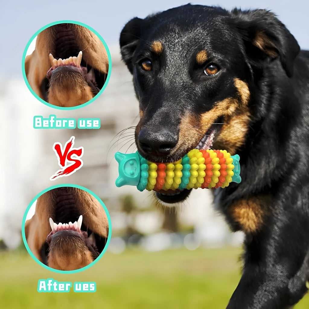 Blue caterpillar-shaped natural rubber dog chew toy measuring 17cm long