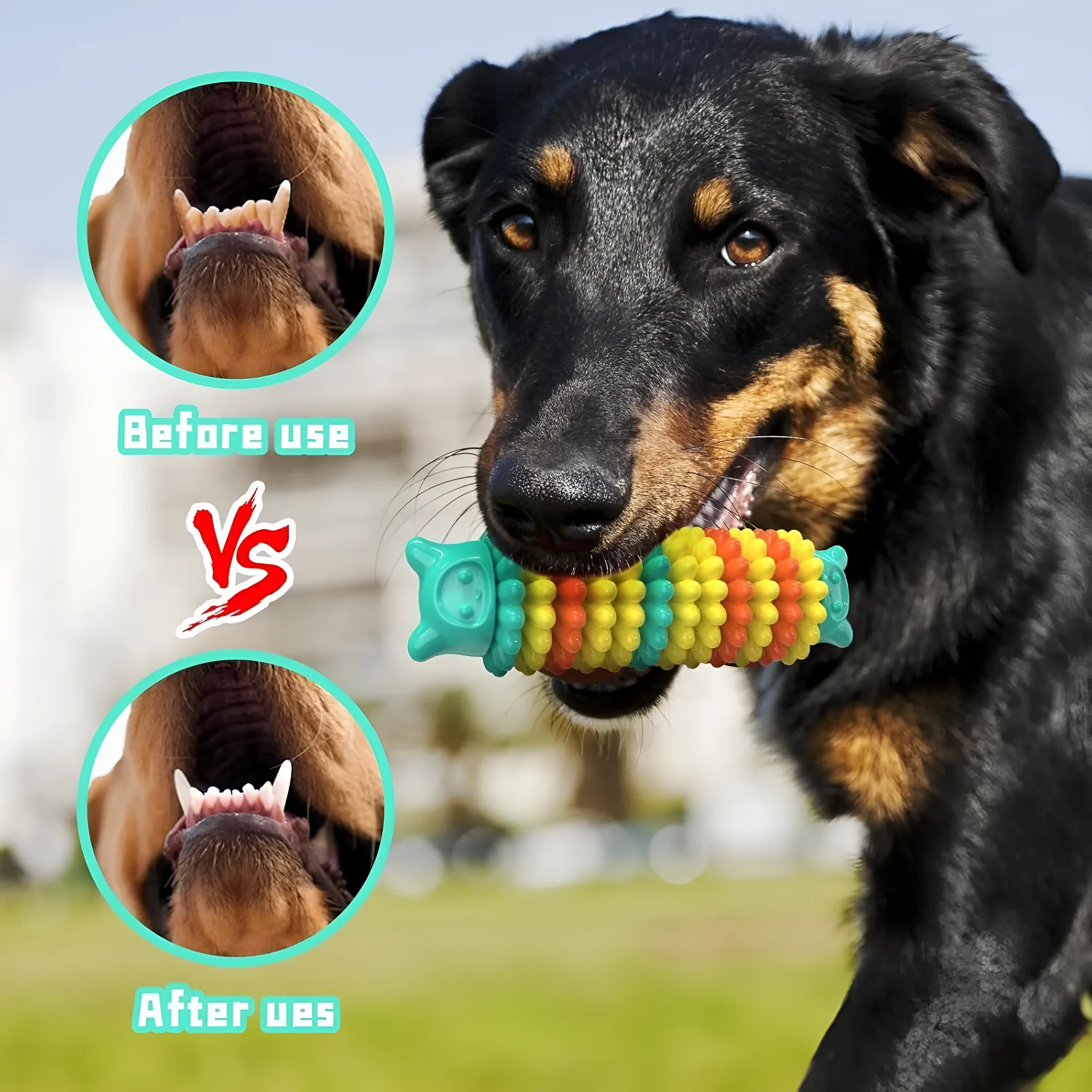 Blue caterpillar-shaped natural rubber dog chew toy measuring 17cm long